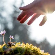 corporate environmental responsibility